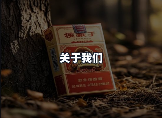 关于我们